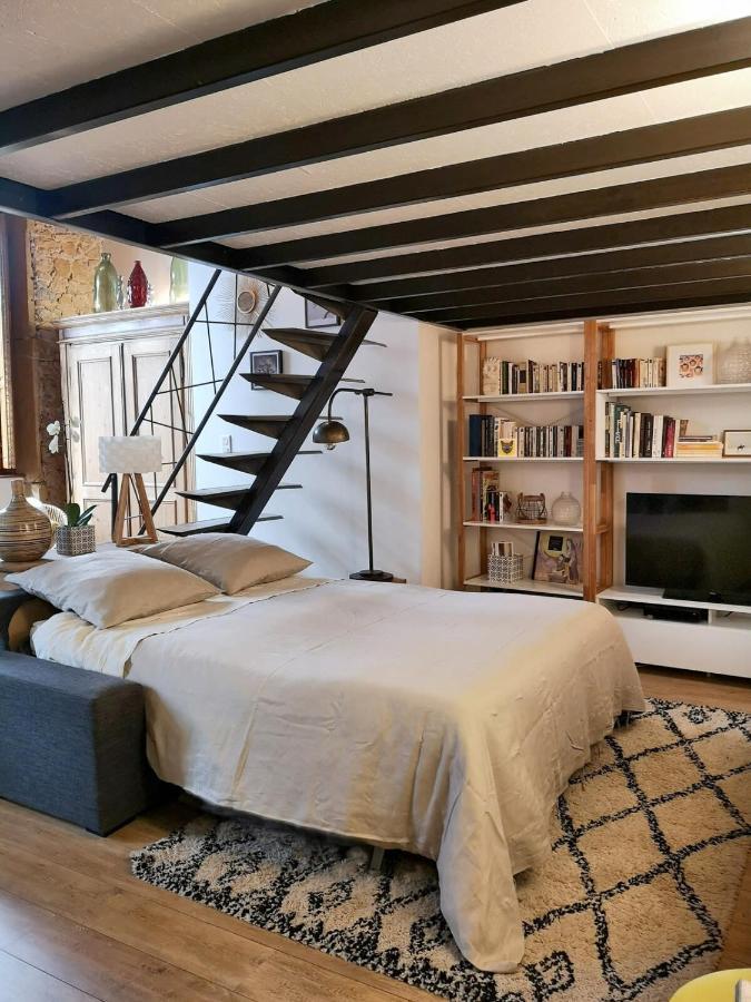 Authentic Loft With Mezzanine & Exposed Stones Heart Of Lyon Lejlighed Eksteriør billede